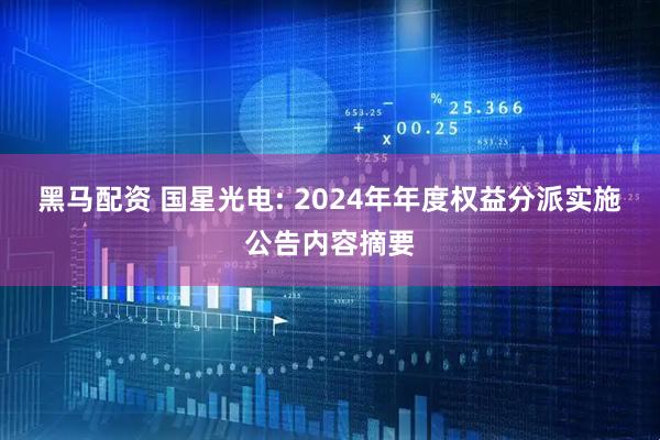 黑马配资 国星光电: 2024年年度权益分派实施公告内容摘要